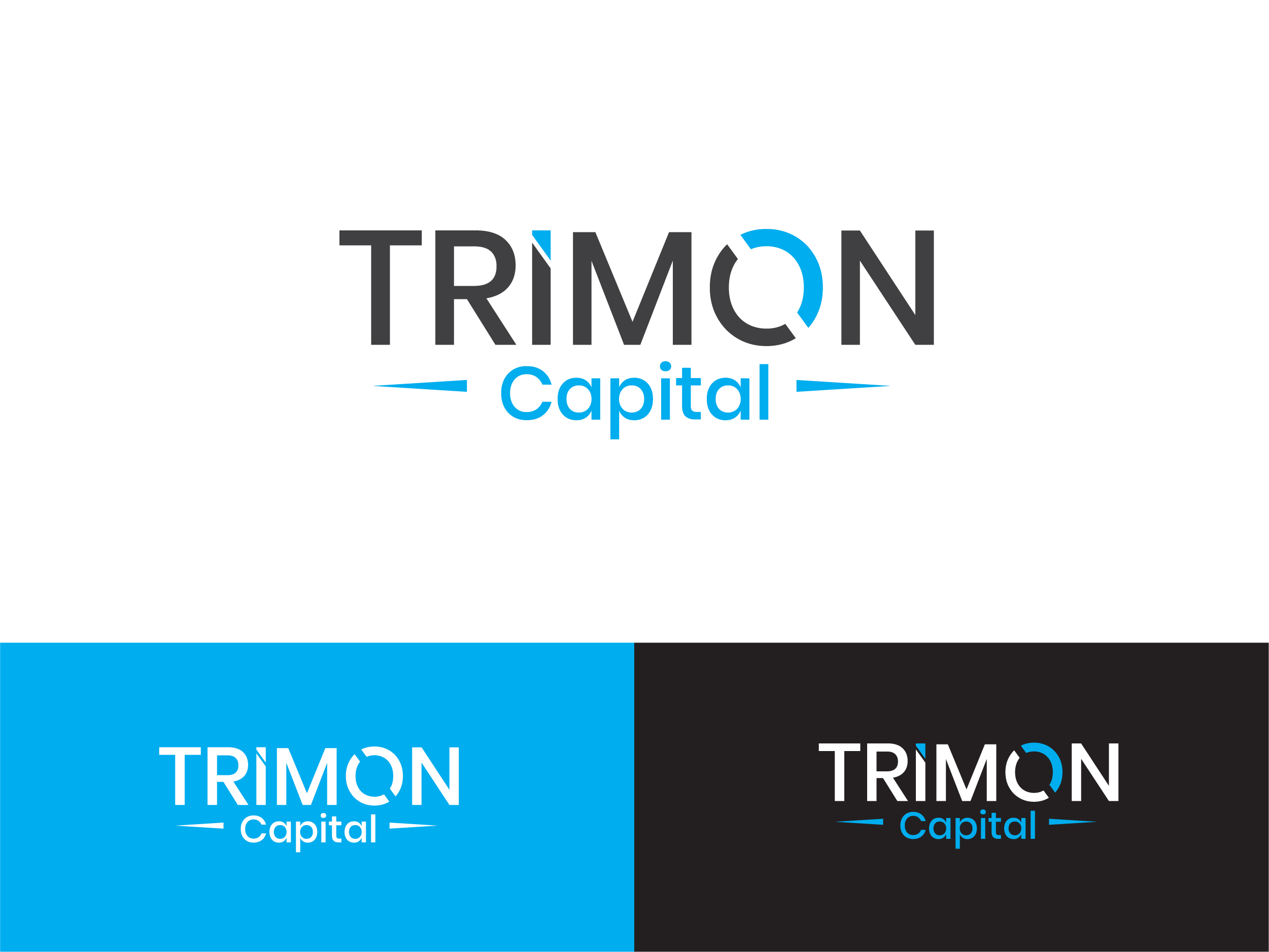 Logo Design by Design Athics for Trimon Capital Management, LLC | Design #29300739