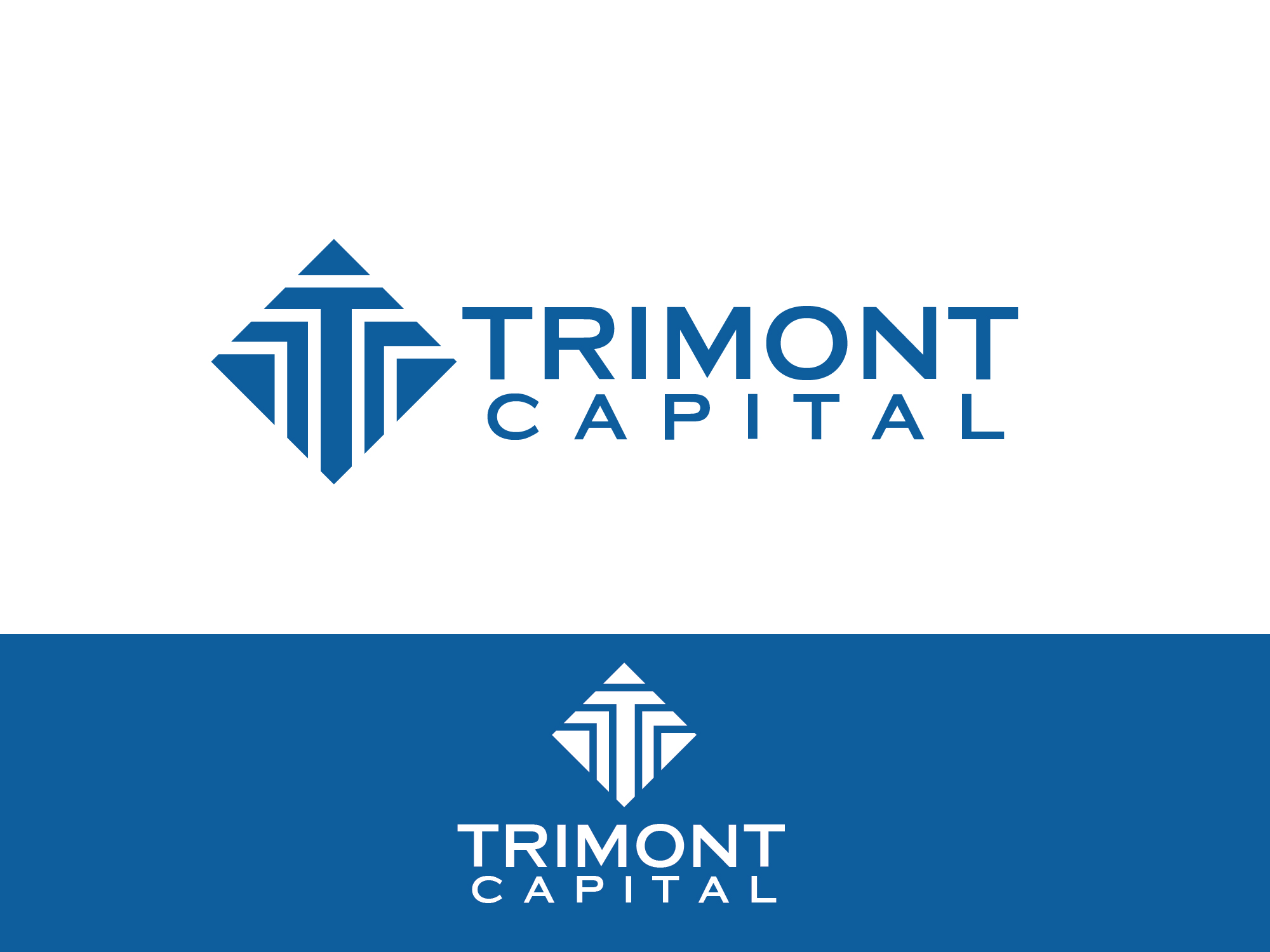 Design de Logo par renderman pour Trimon Capital Management, LLC | Design #29287480
