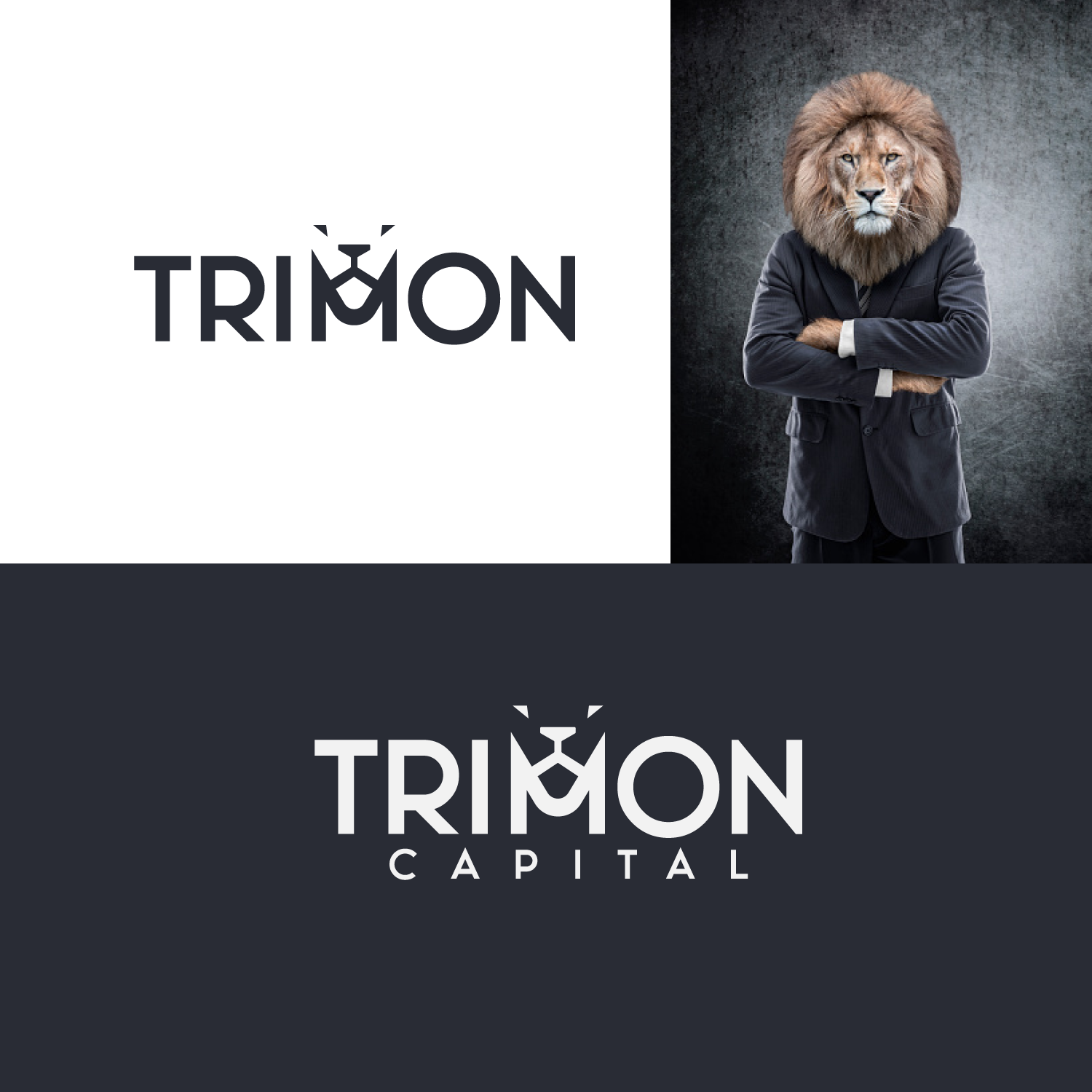 Logo Design by Abdul 20 for Trimon Capital Management, LLC | Design #29286350