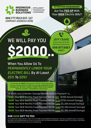Flyer Design by Numan Ghani Studio for Ingenious Business Solutions, LLC | Design: #29312018