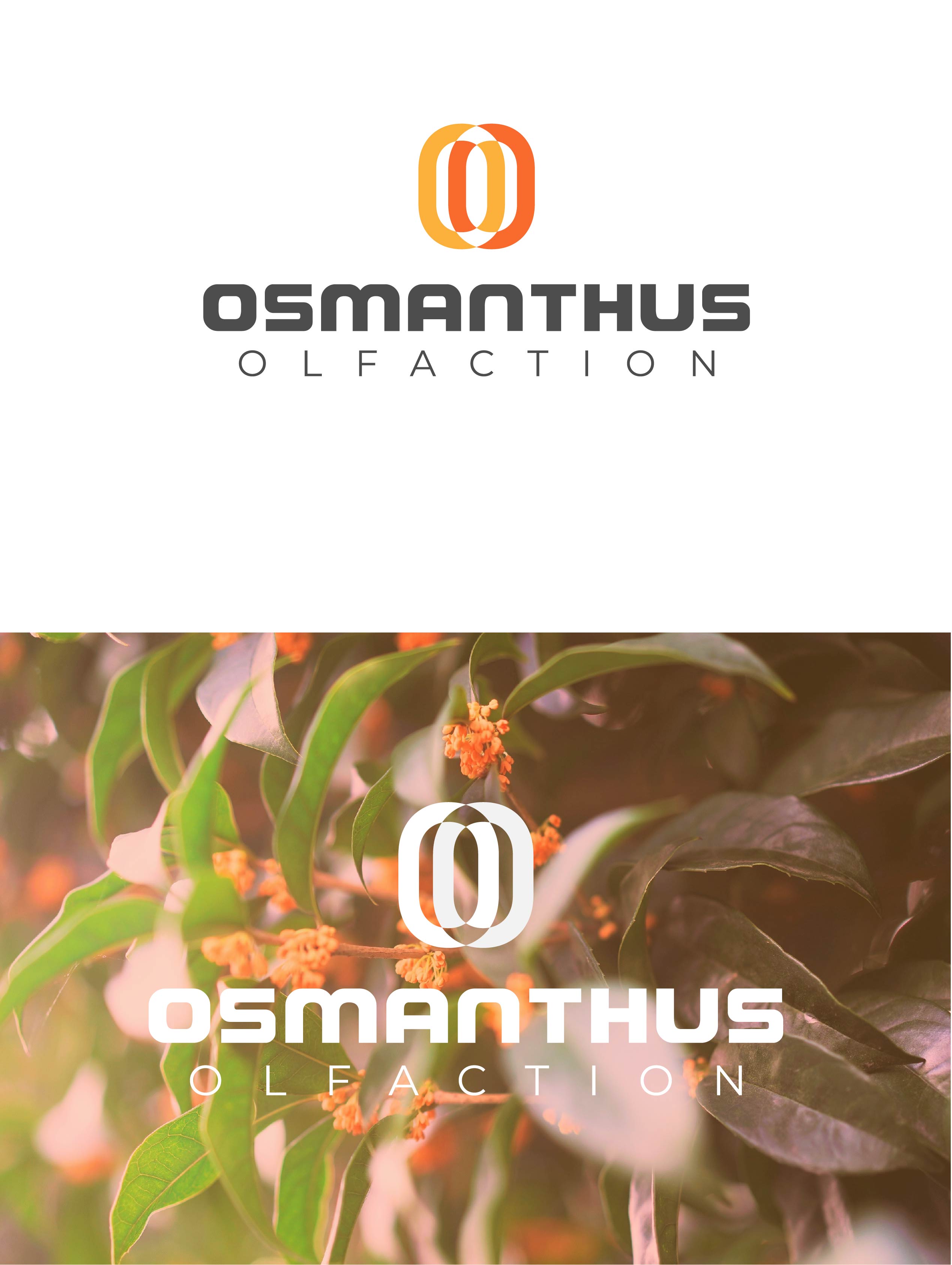 Logo Design by miloje1207 for this project | Design #29331335