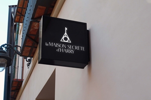 Design de Logo par miloje1207 pour ce projet | Design : #29335506