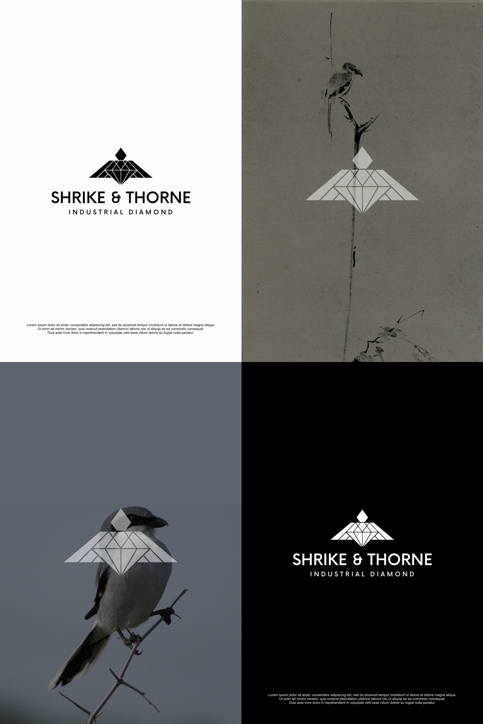 Diseño de Logo por R!CKY para este proyecto | Diseño #29334752