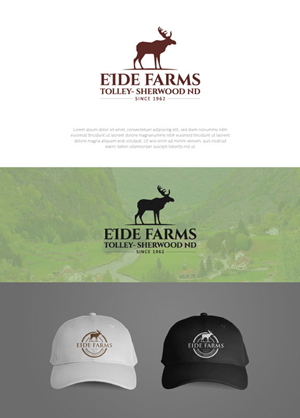 Logo Design by Owenxcole for this project | Design: #29349243