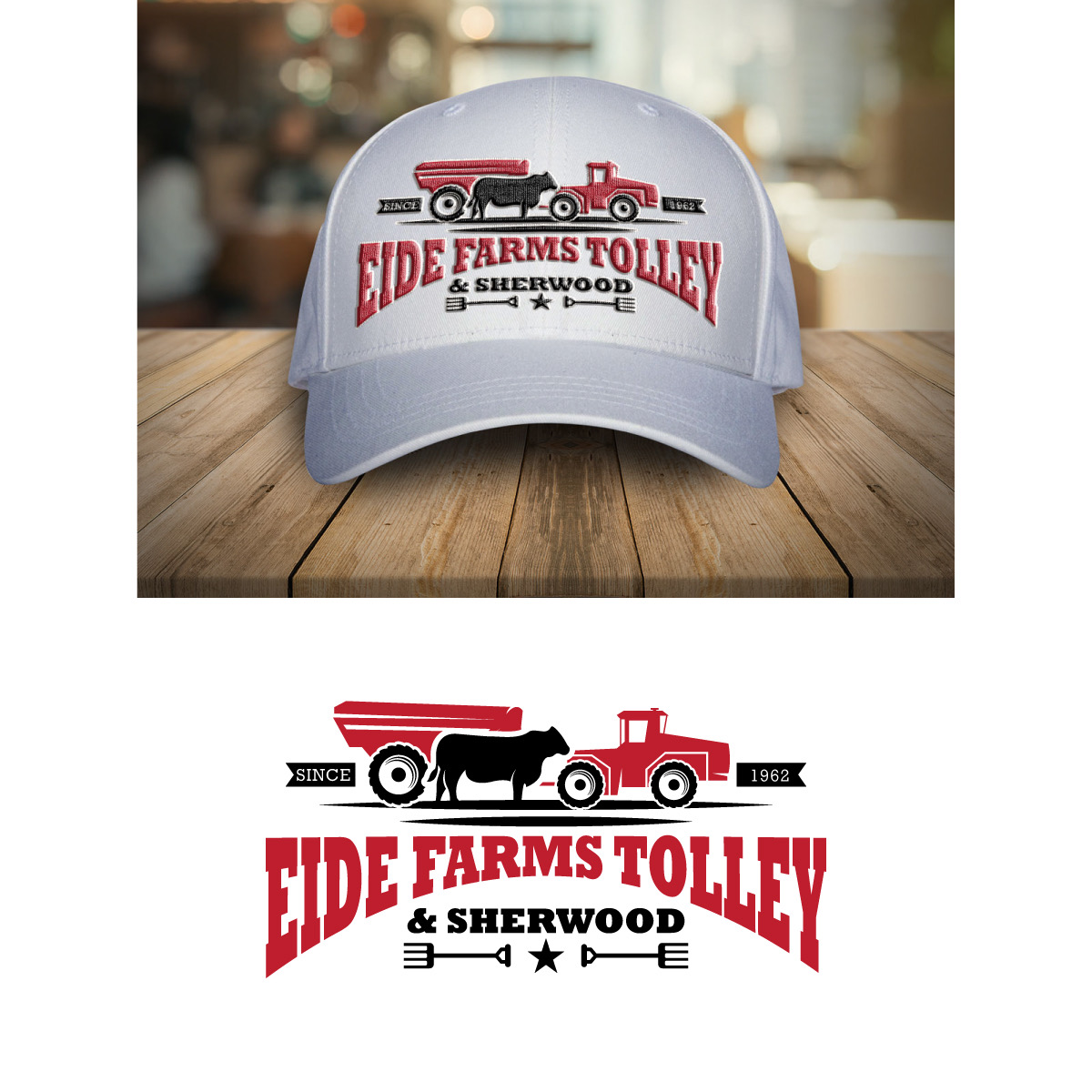 Logo Design by brand maker for this project | Design #29316811