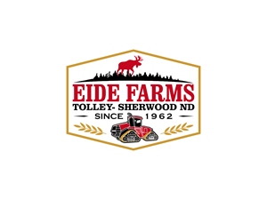 Diseño de Logo por BNdesigner para este proyecto | Diseño: #29323495