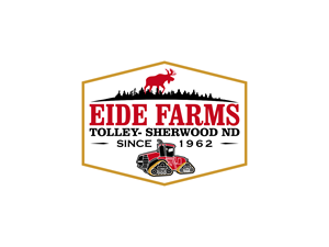 Diseño de Logo por BNdesigner para este proyecto | Diseño: #29323496