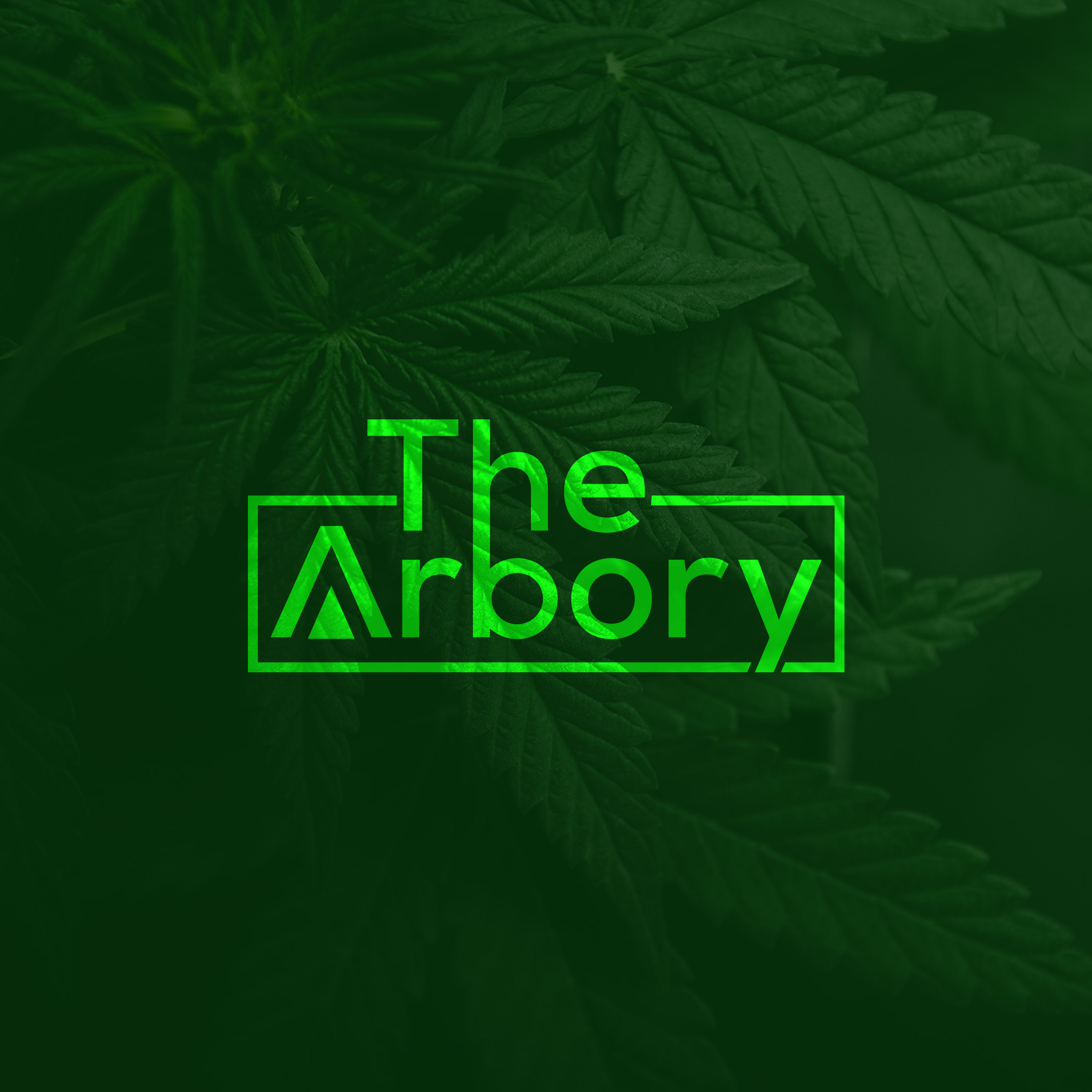 Logo Design by aexoagency for this project | Design #29313184