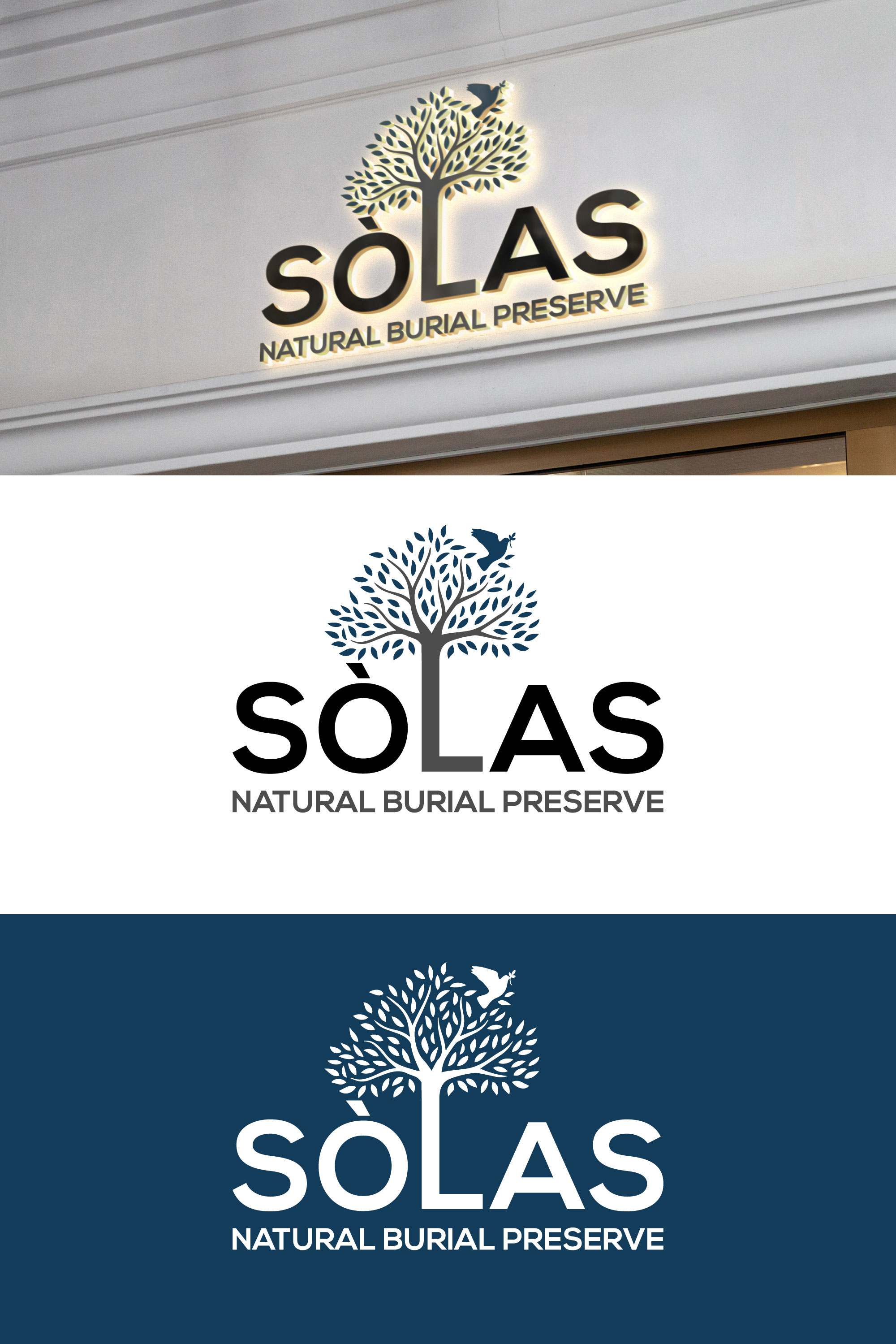 Logo Design by riyad123 for this project | Design #29322117