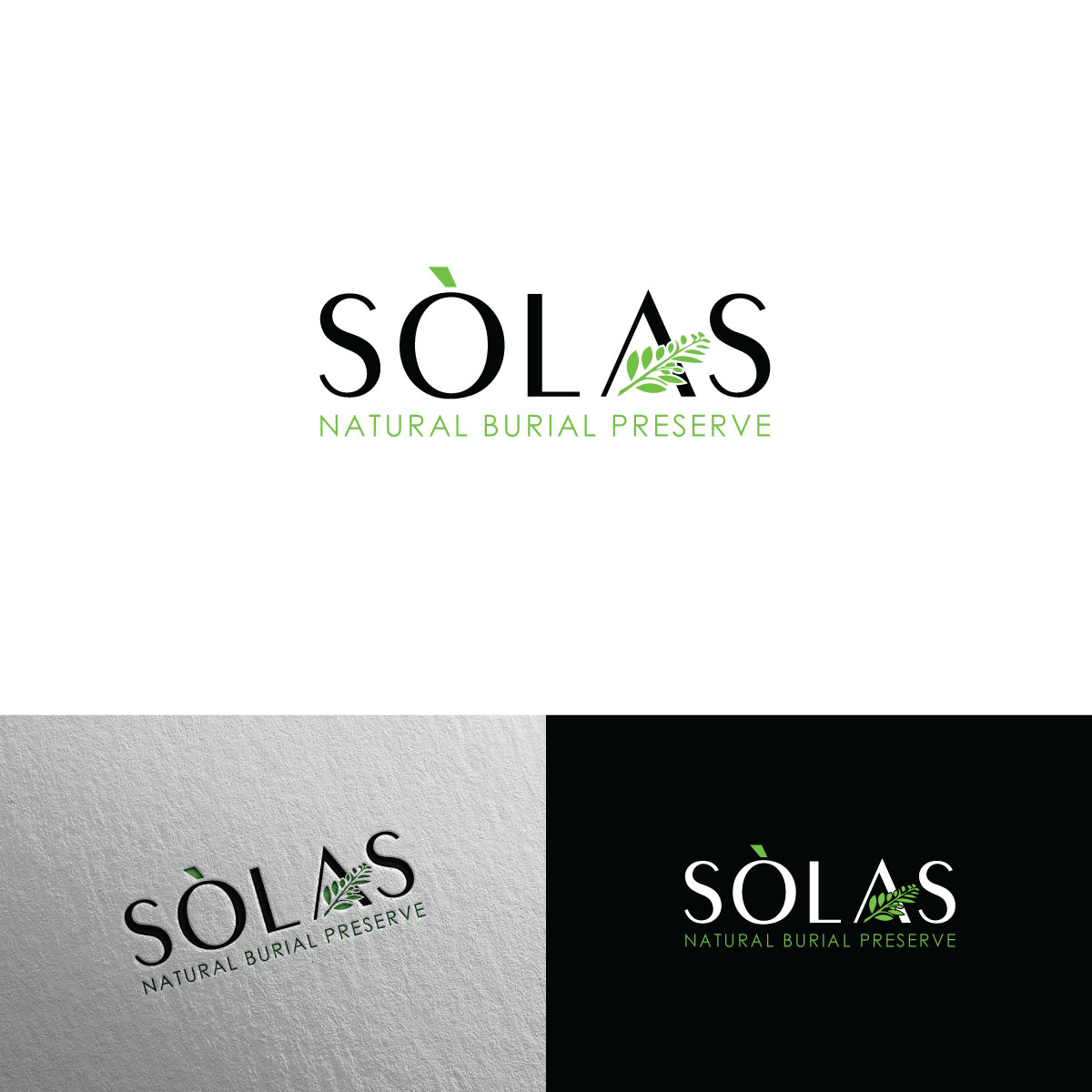 Logo Design by chris Ray for this project | Design #29319604