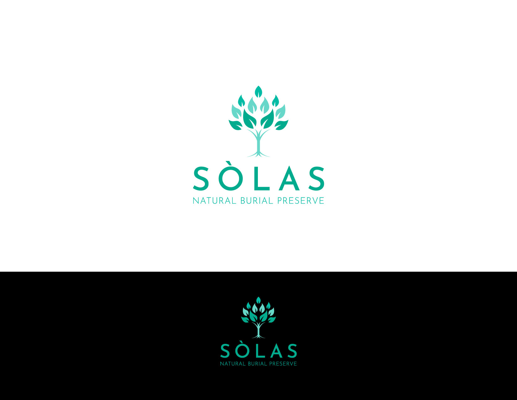 Logo Design by BlacknWhite Konzept for this project | Design #29318543