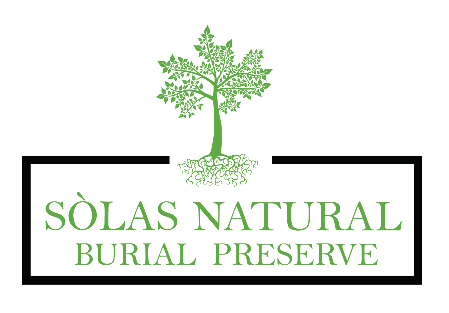 Logo Design by Adeel Rahman for this project | Design #29319534