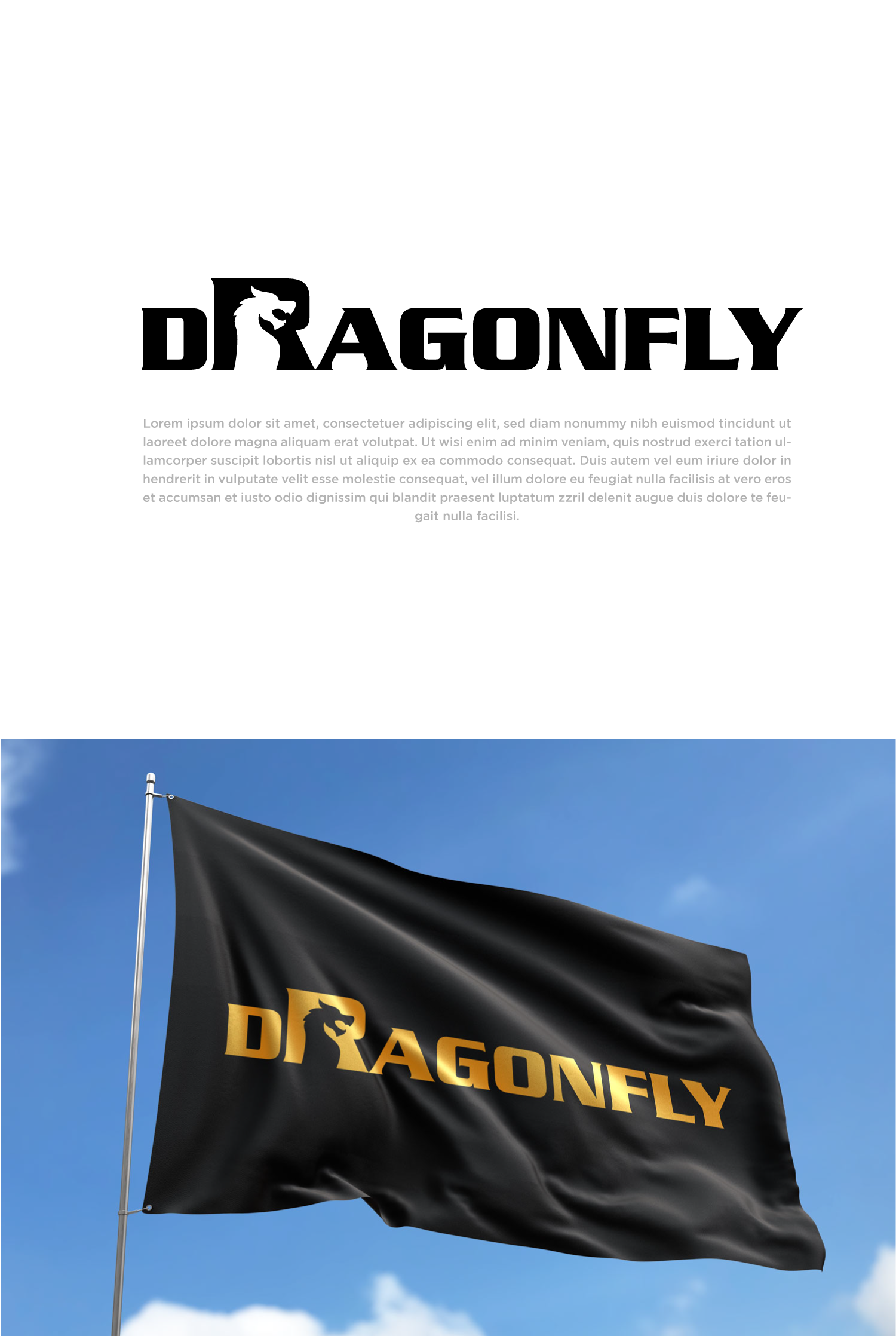 Logo Design by Abdul 20 for this project | Design #29324824