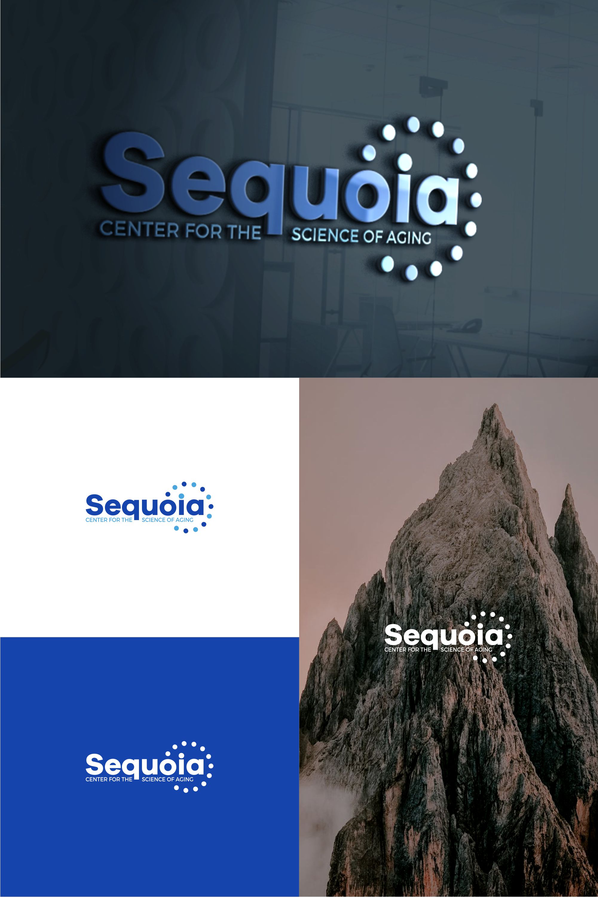 Logo Design by MX LogoArt for this project | Design #29326366