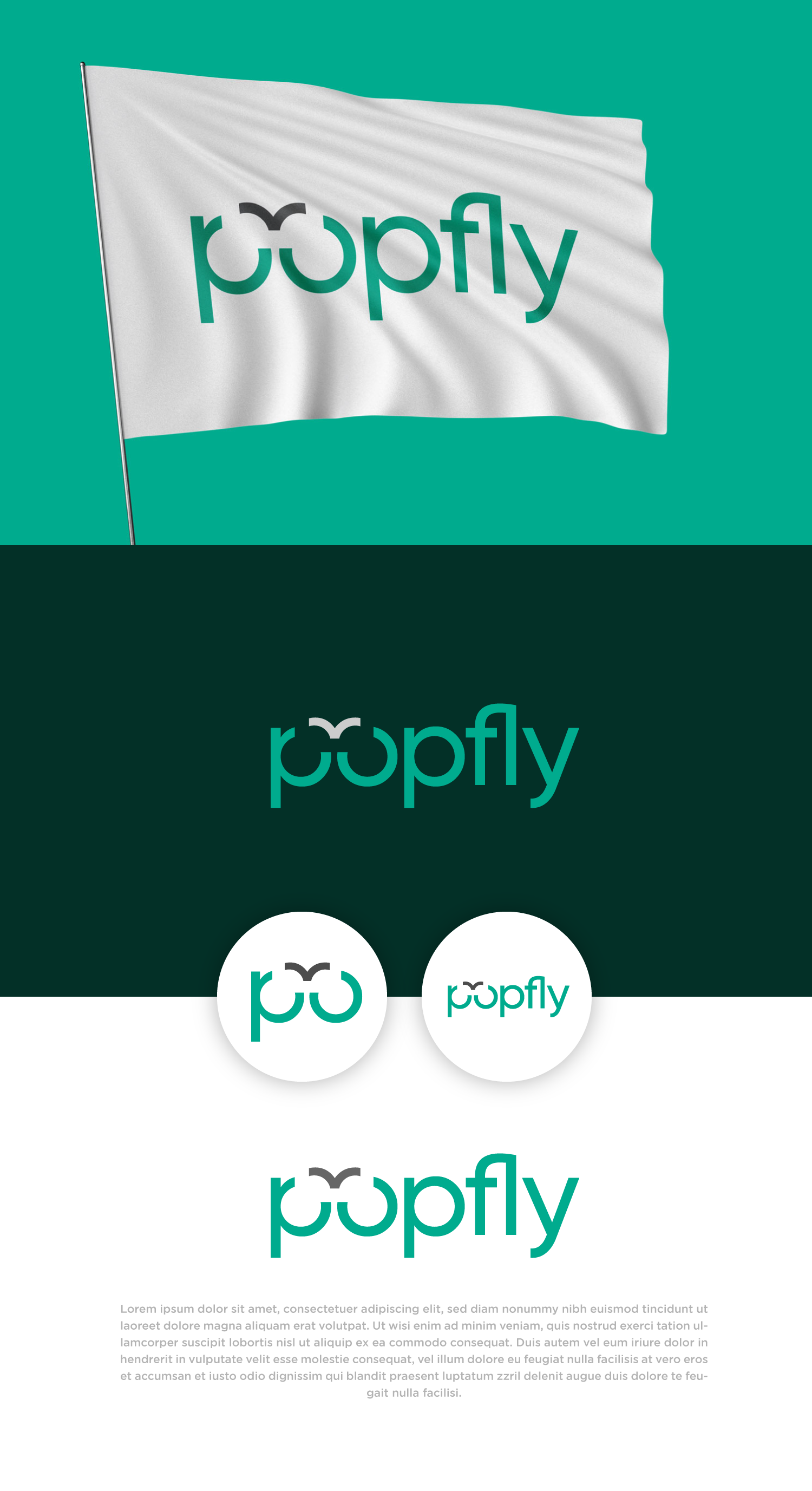 Logo Design by Abdul 20 for this project | Design #29337566