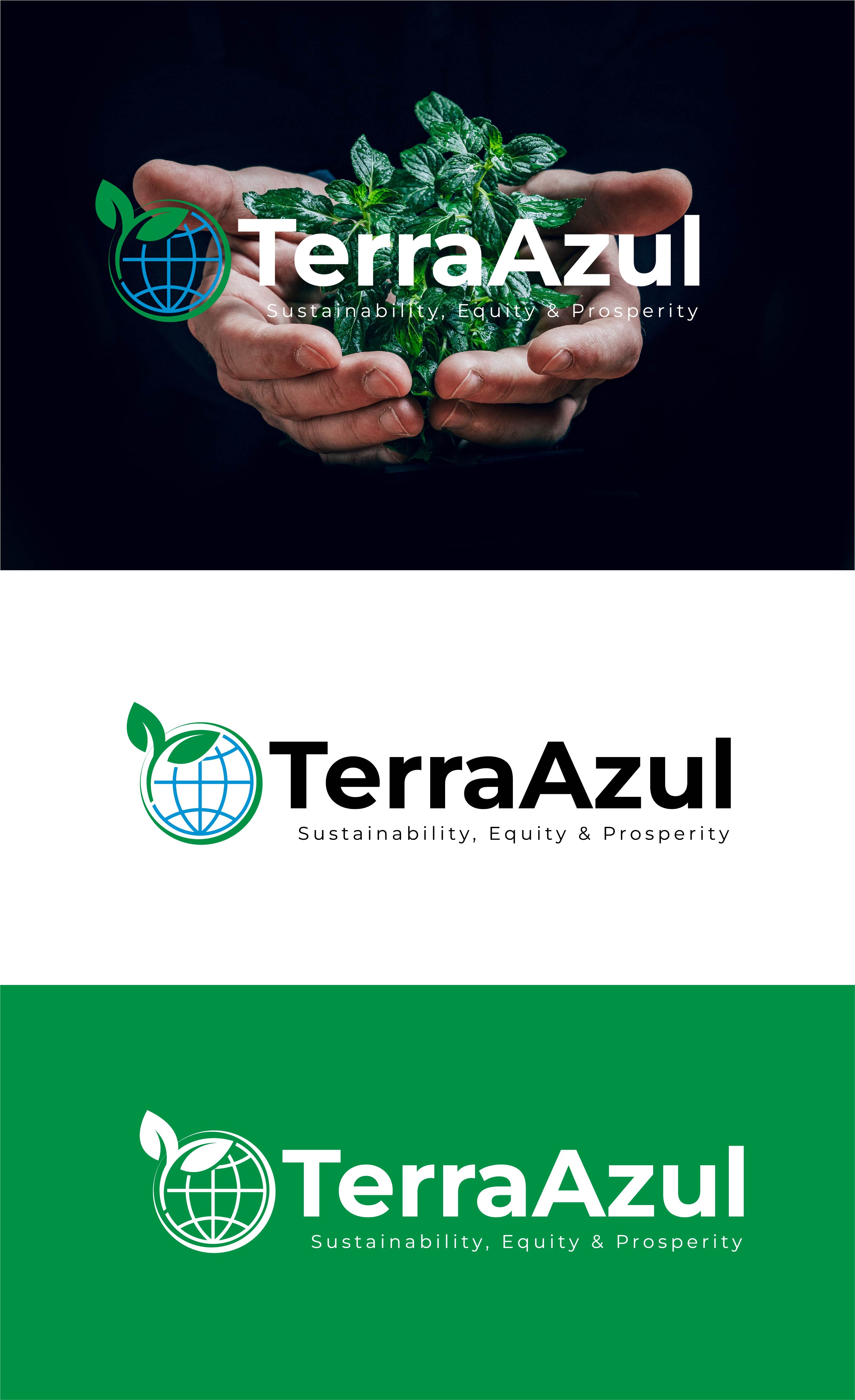 Logo Design by miloje1207 for TerraAzul | Design #29374528