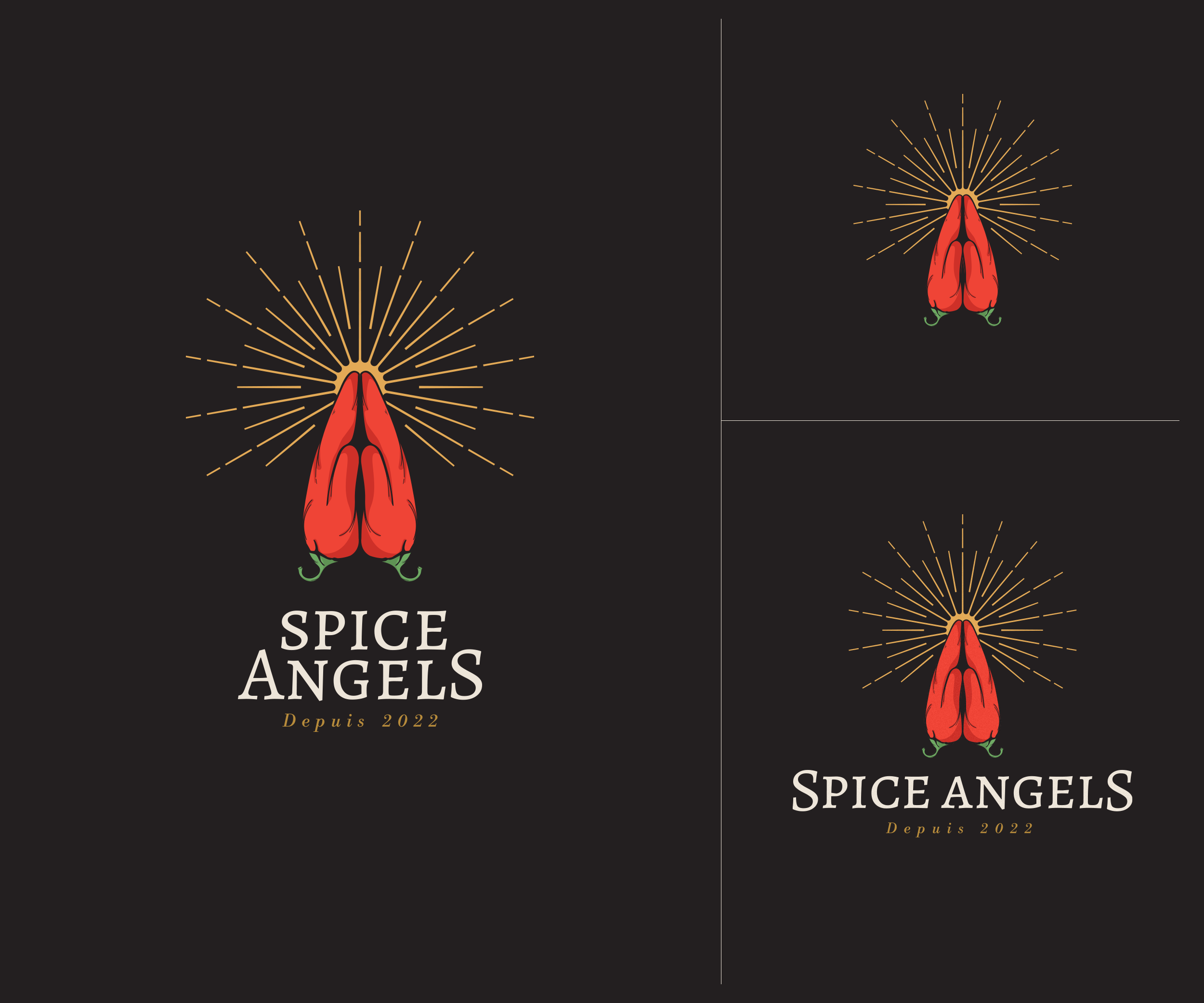 Diseño de Logo por GBDESIGN para Spice Angels | Diseño #29357013