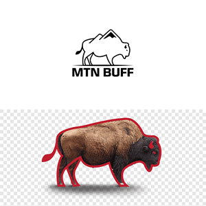 Logo Design by Designer Nayem for this project | Design: #29350341