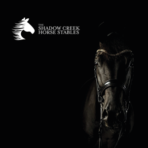 Logo Design by Scott for this project | Design #29343378