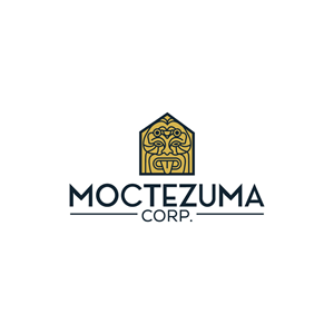Design de Logo par LAXMI DESIGNHUB pour ce projet | Design : #29346949