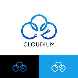 Logo Design by sandirda11