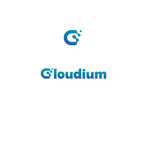 Logo Design by Nahom Shiferaw for this project | Design #29357227