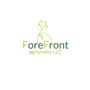 Logo Design by Ekaterina 7