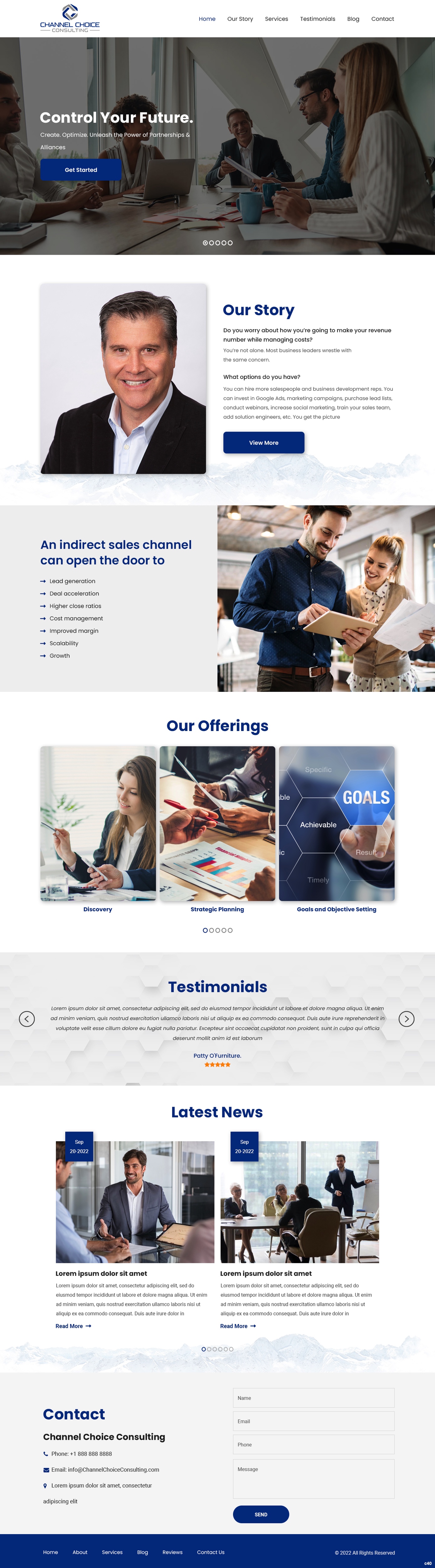 Wordpress Design by pb for Channel Choice Consulting | Design #29373562