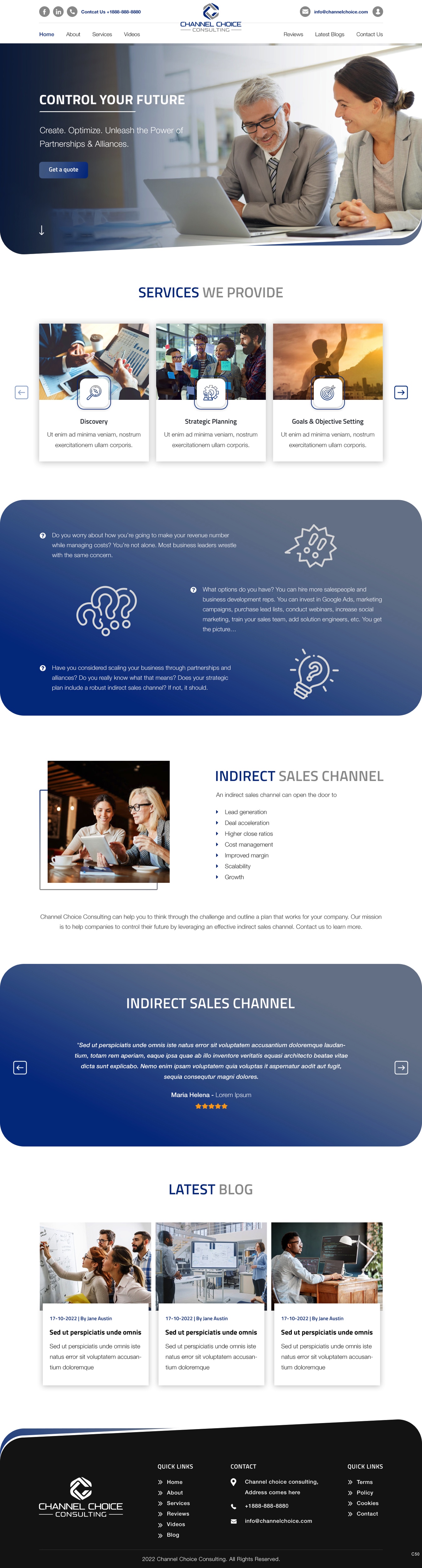 Wordpress Design by pb for Channel Choice Consulting | Design #29373563