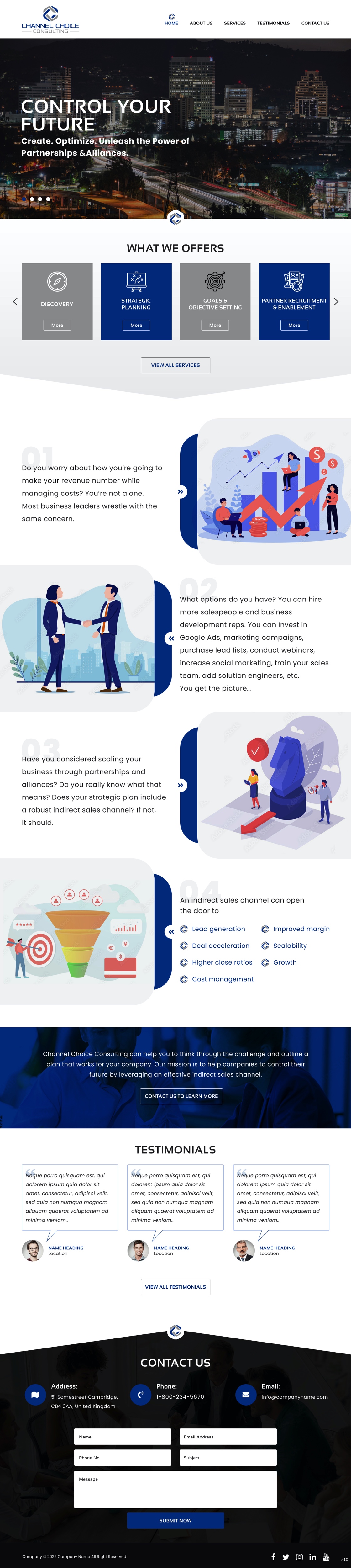 Wordpress Design by pb for Channel Choice Consulting | Design #29373569