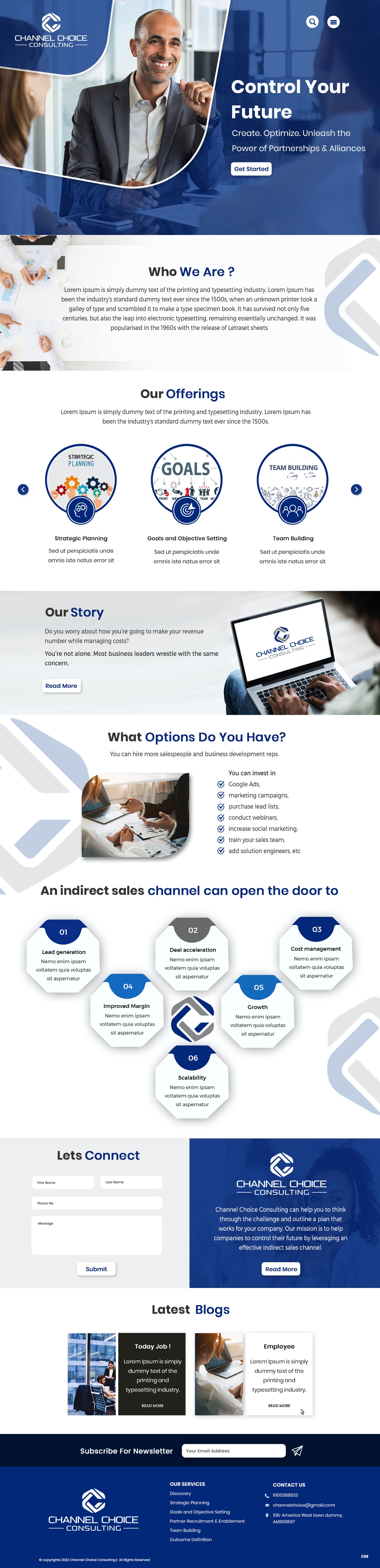 Wordpress Design by pb for Channel Choice Consulting | Design #29373571