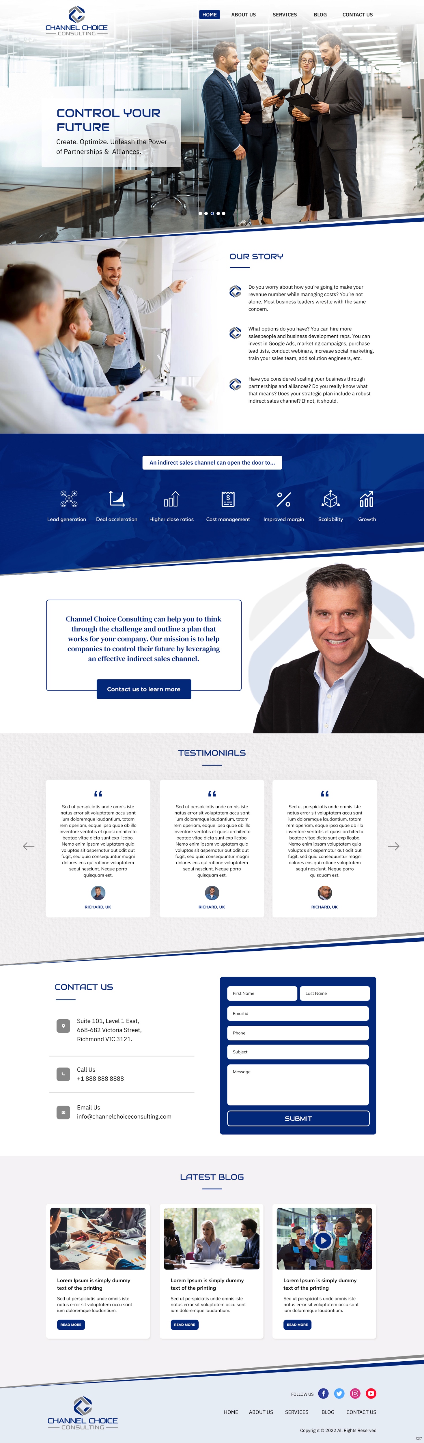 Wordpress Design by pb for Channel Choice Consulting | Design #29373572