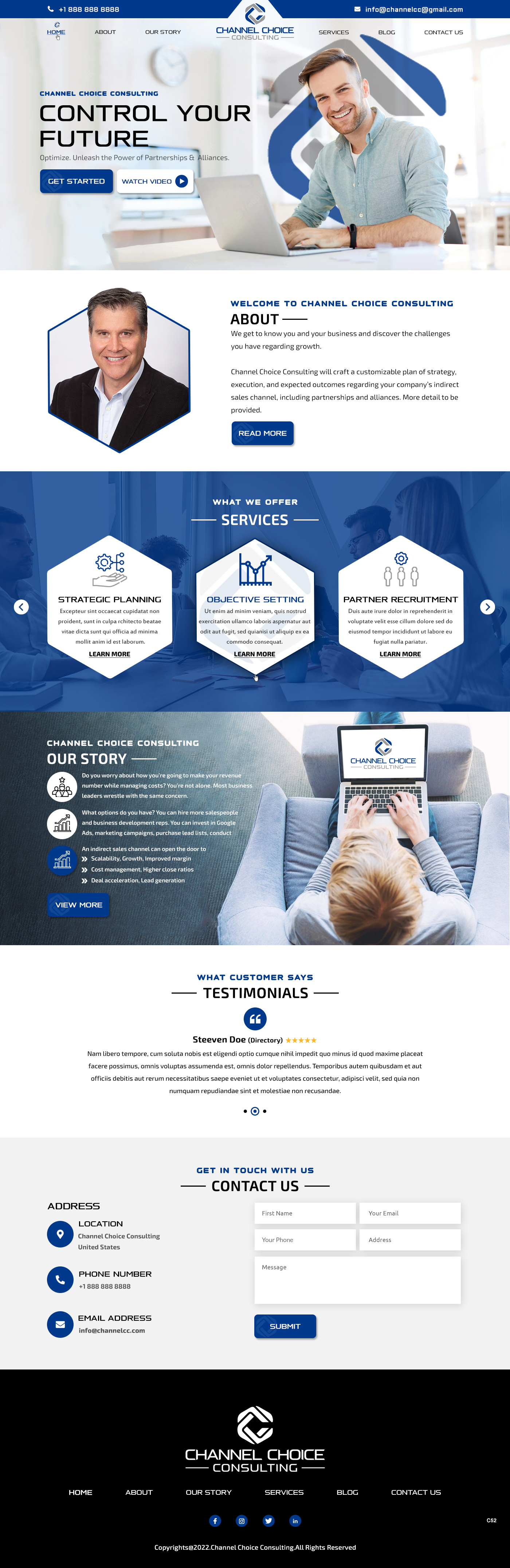 WordPress-Design von pb für Channel Choice Consulting | Design #29373573