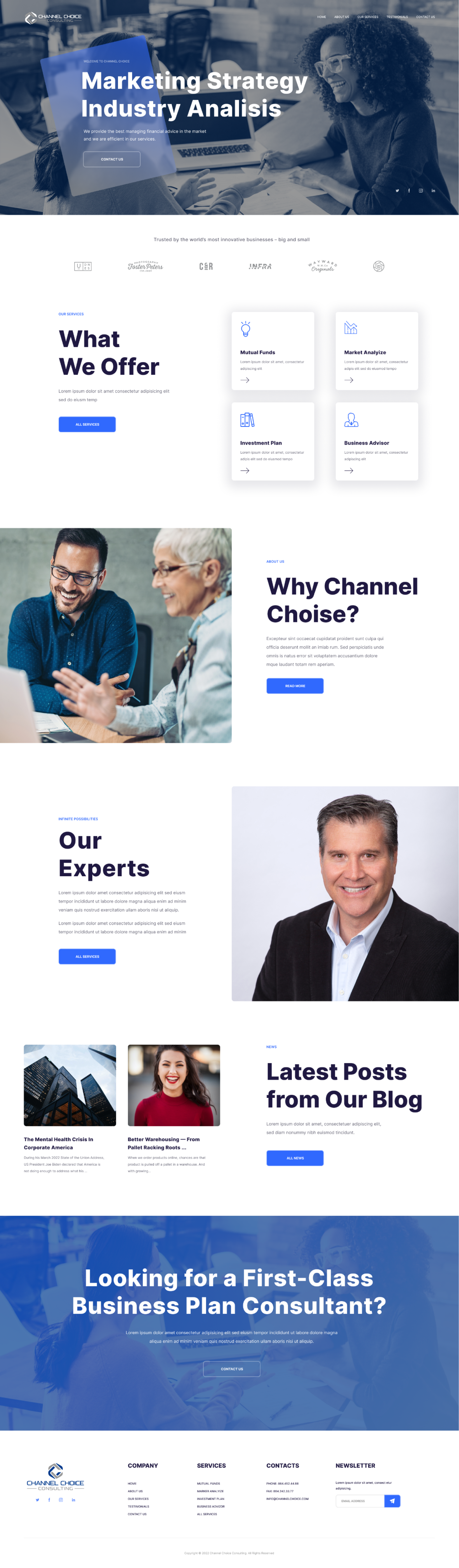 Wordpress Design by Wybex for Channel Choice Consulting | Design #29367060