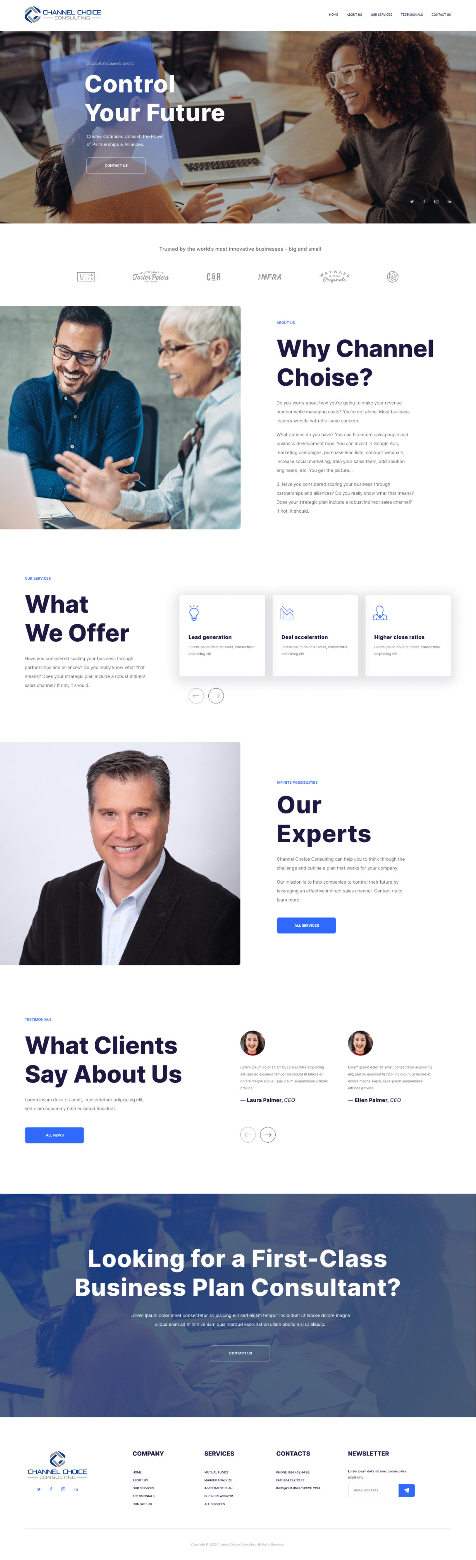 Wordpress Design by Wybex for Channel Choice Consulting | Design #29367610