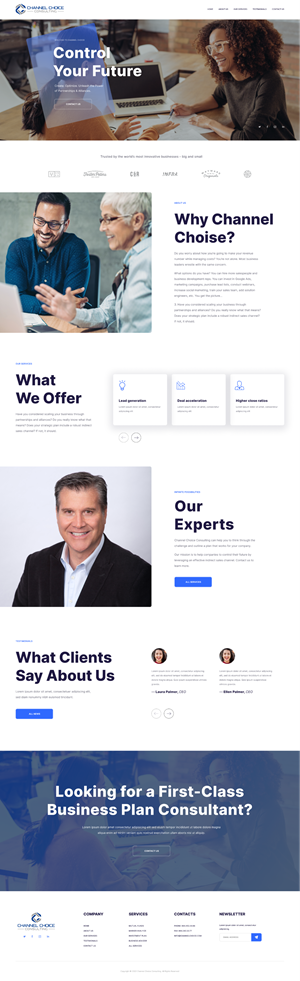 Wordpress Design by Wybex for Channel Choice Consulting | Design: #29367610