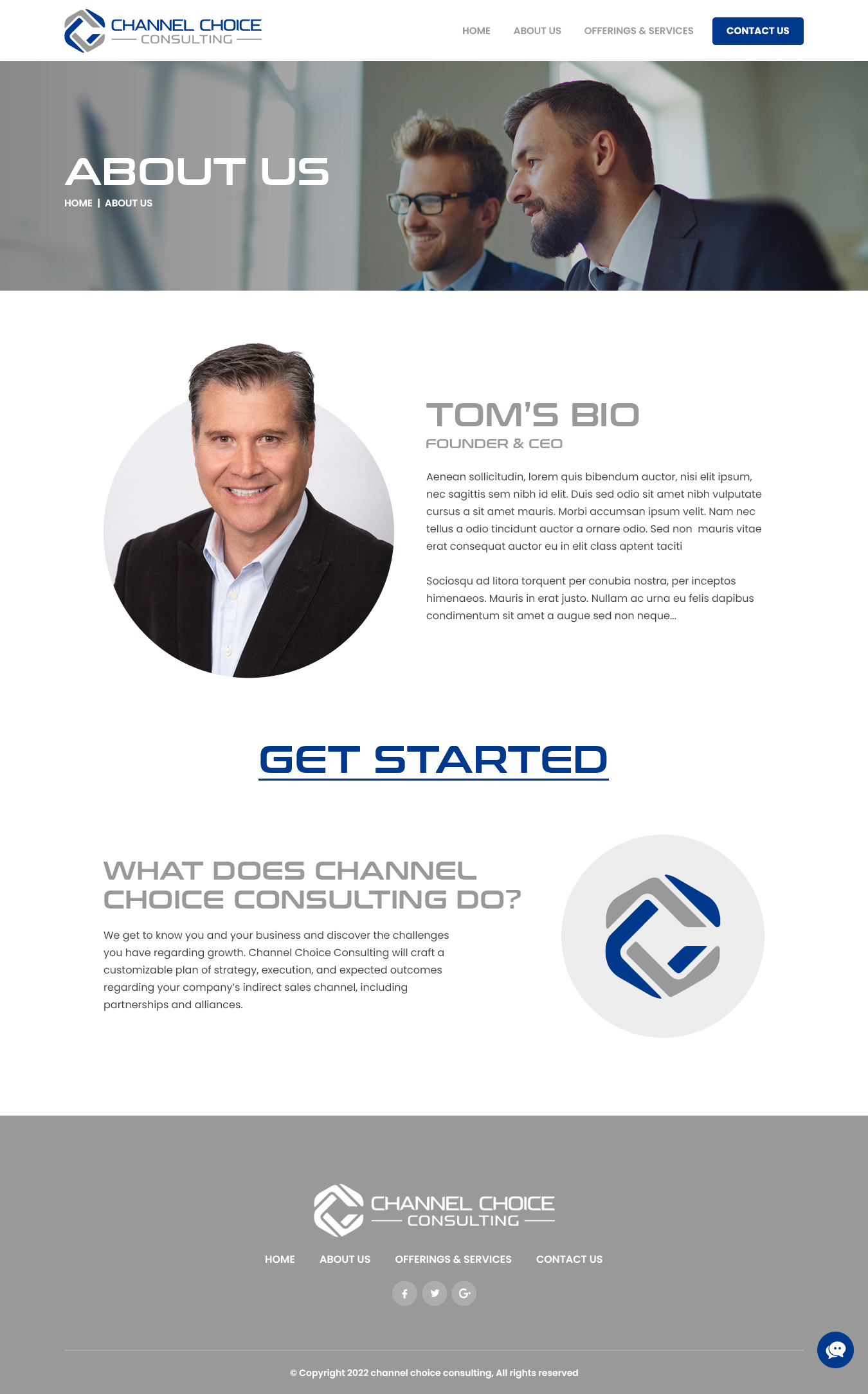 Diseño Wordpress por nzdesigners para Channel Choice Consulting | Diseño #29381914