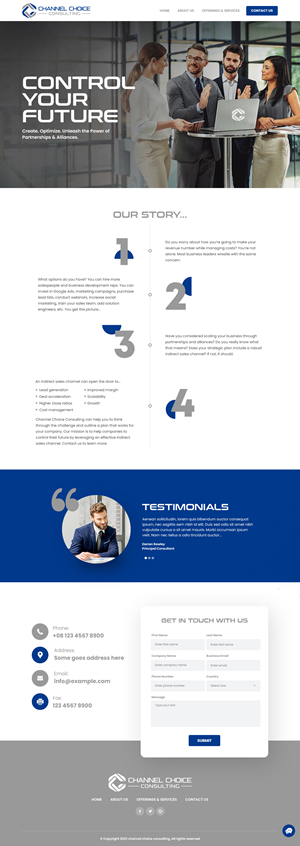 Wordpress Design by nzdesigners for Channel Choice Consulting | Design: #29381915