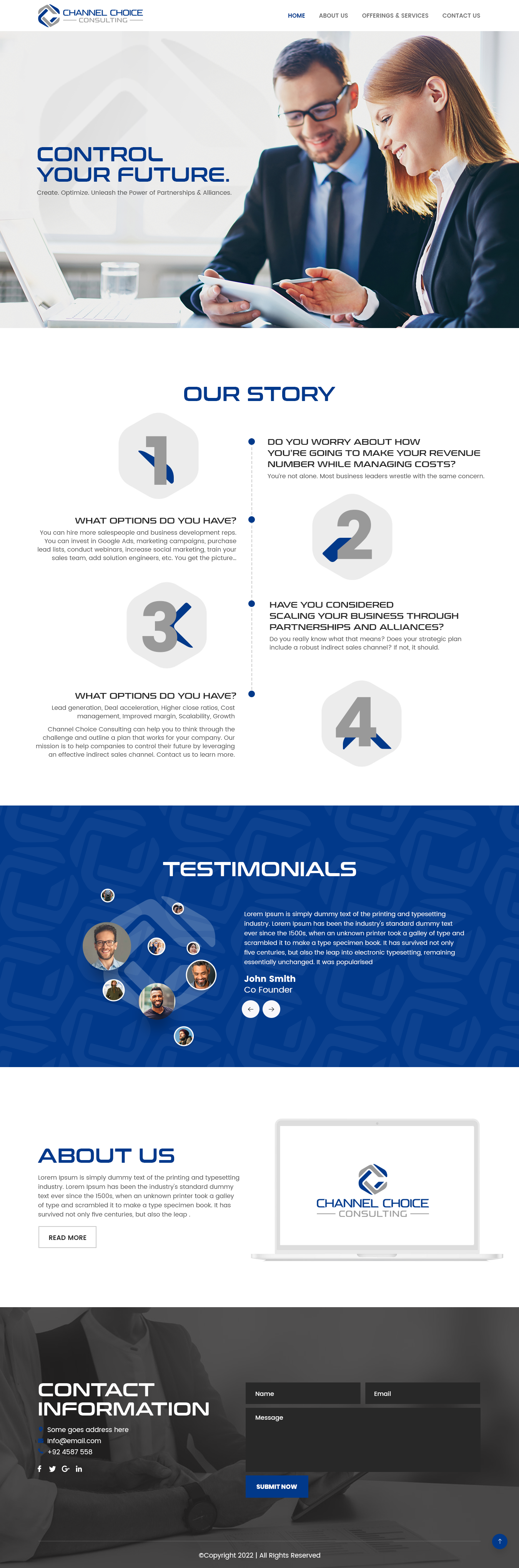 Wordpress Design by nzdesigners for Channel Choice Consulting | Design #29381916