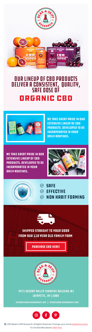 Web Design by Expert Designer