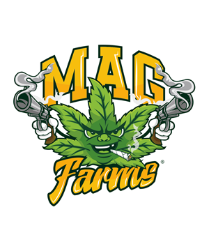 Logo-Design von StudioD™ für dieses Projekt | Design: #29371857