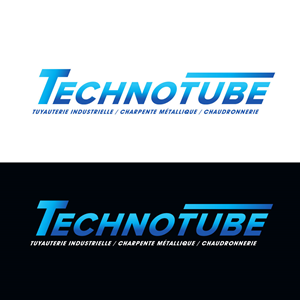 Logo Design by Expert Designer for this project | Design: #29408889