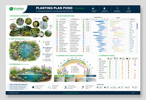Infographic Design by widyaguna