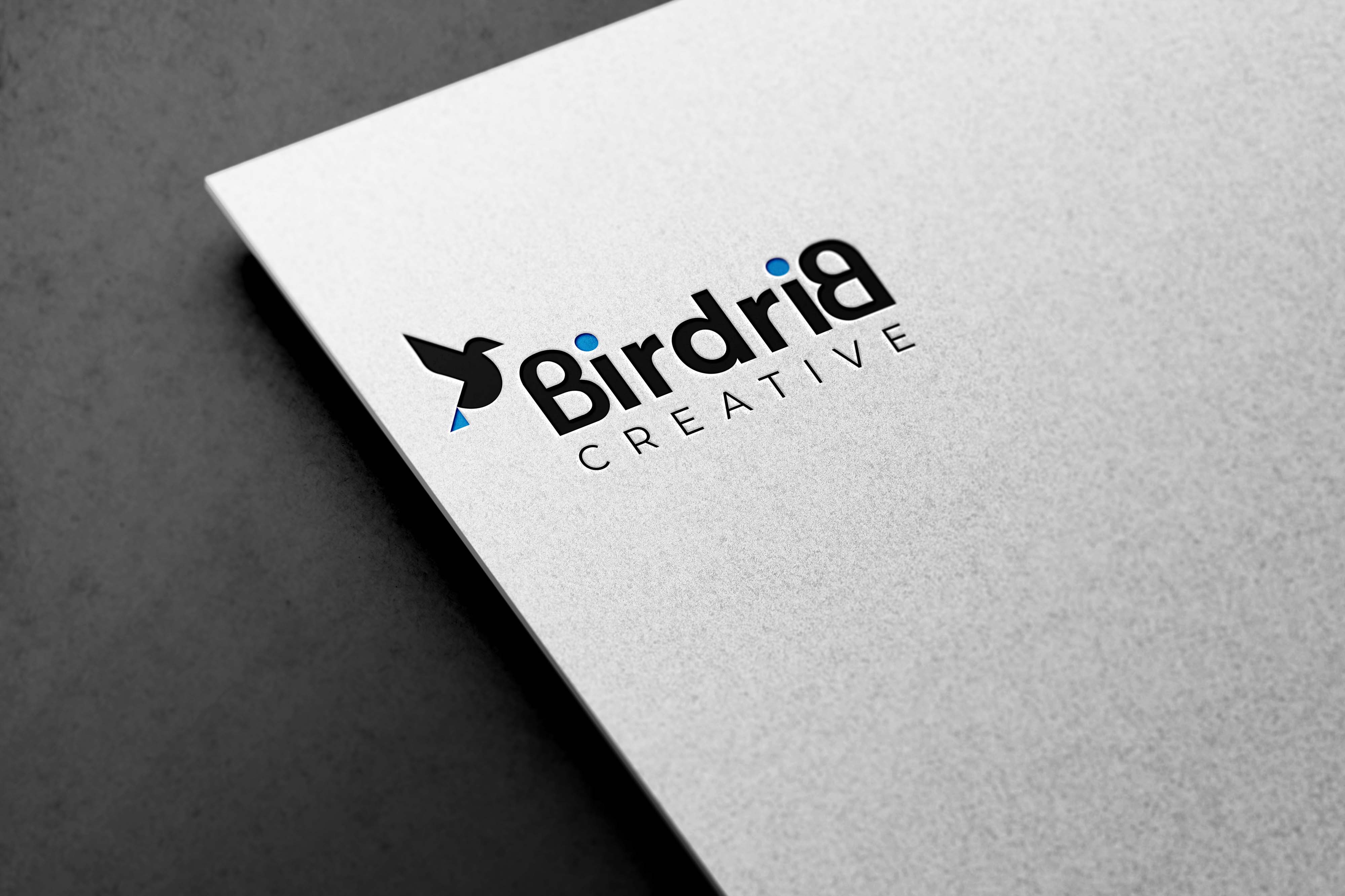 Logo-Design von miloje1207 für Birdrib Creative | Design #29415175