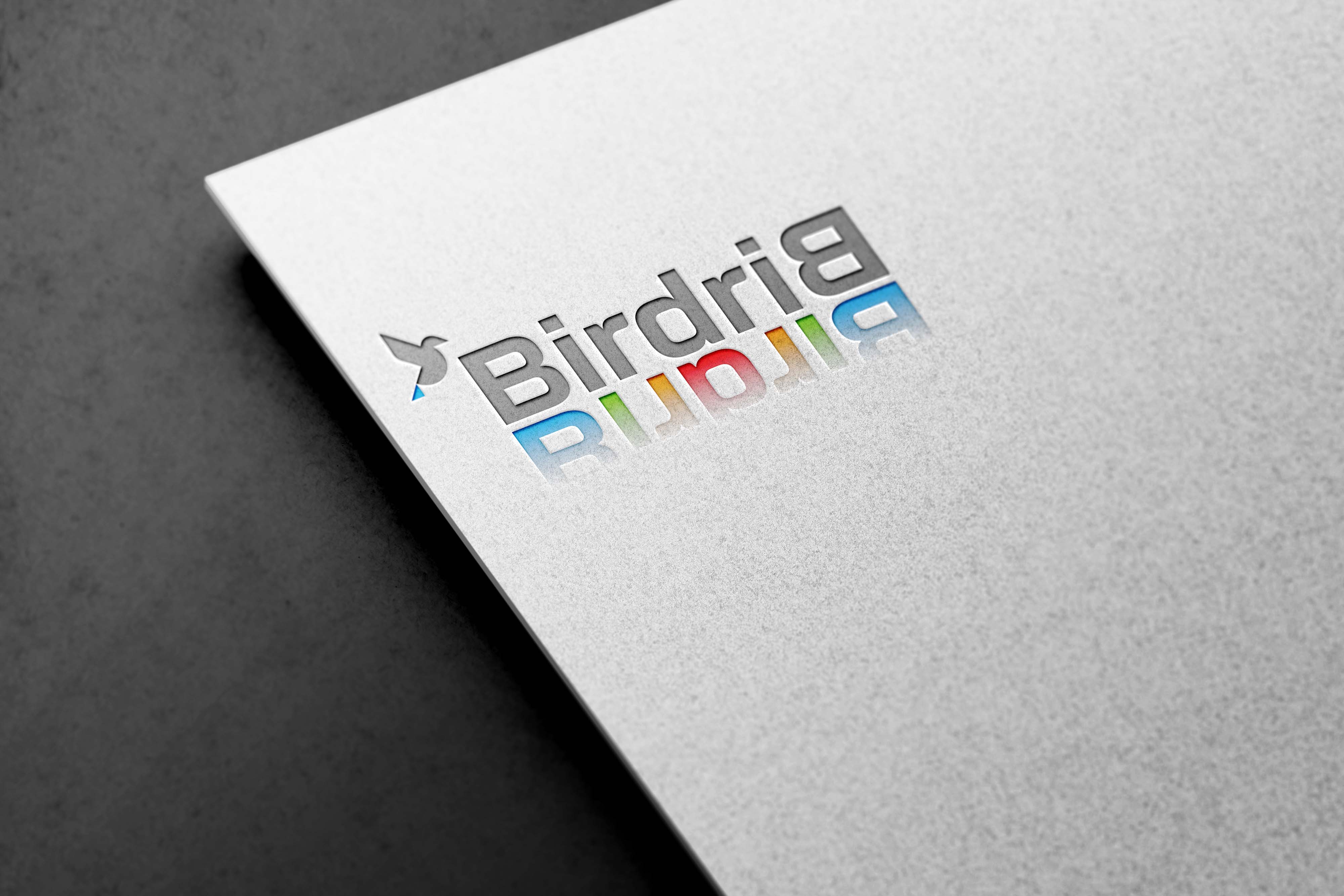 Logo-Design von miloje1207 für Birdrib Creative | Design #29415265