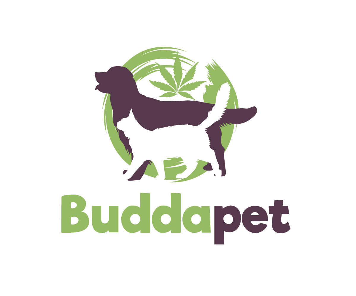 Logo Design by Ansh Design for this project | Design #29389030