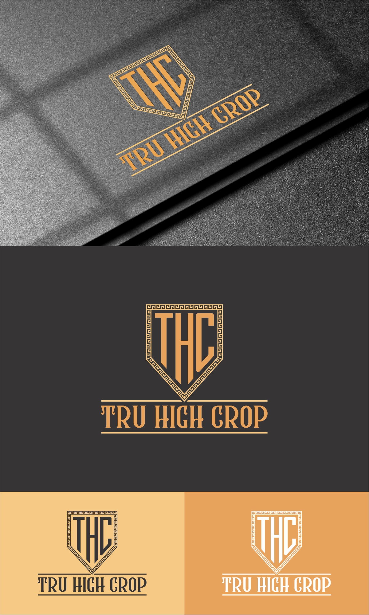 Logo Design by Robert Macwan for this project | Design #29427622