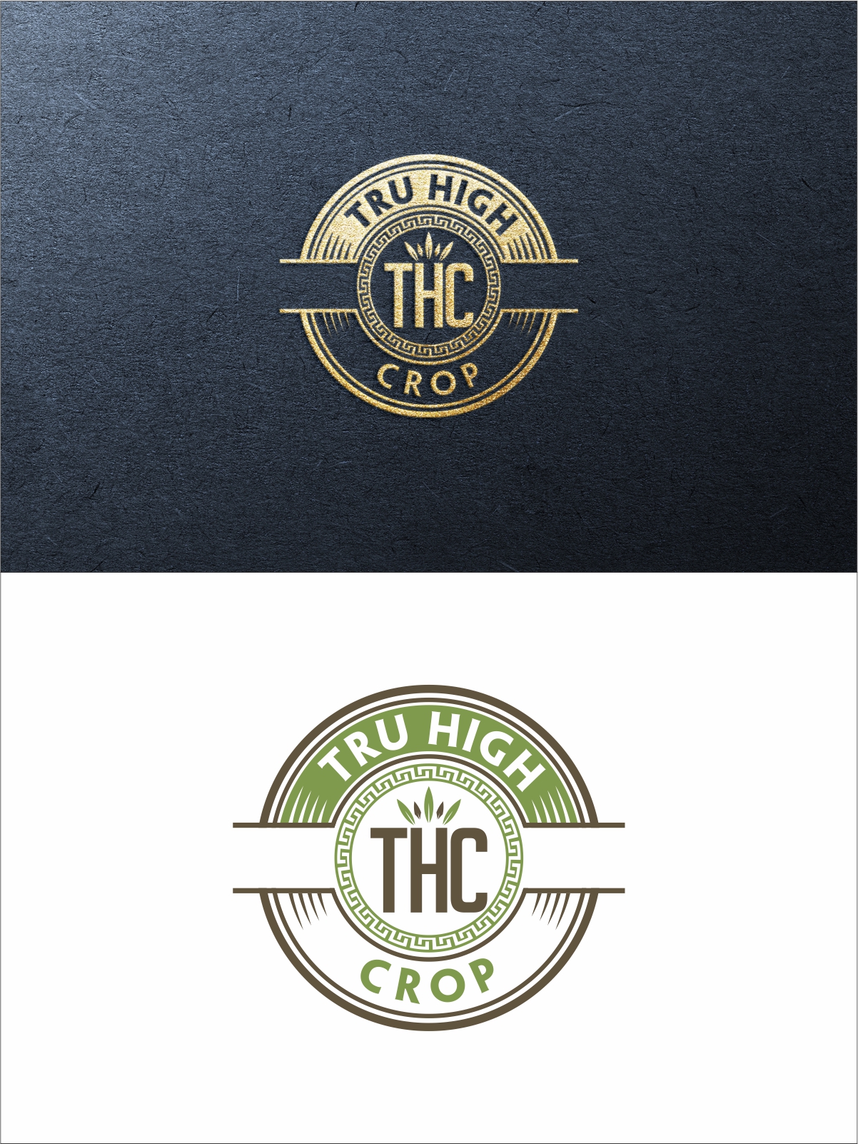 Logo Design by Robert Macwan for this project | Design #29457444
