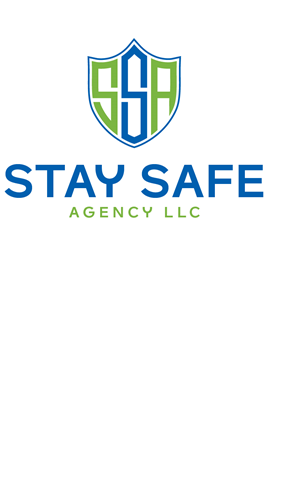 Logo Design by schmeichel6268 for Quick Silver Systems Inc | Design: #29423498