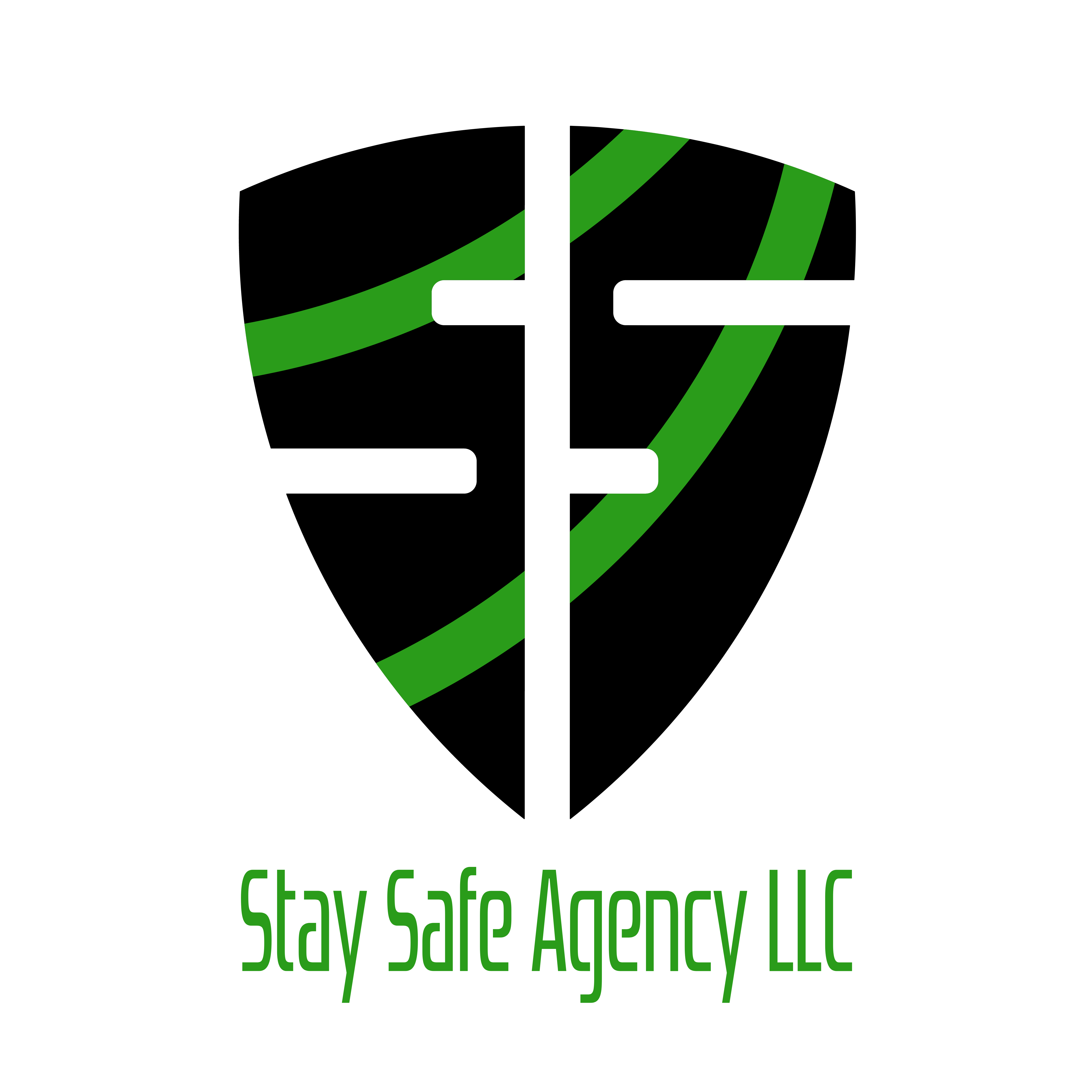 Logo Design by iqbalyozanda for Quick Silver Systems Inc | Design #29399900